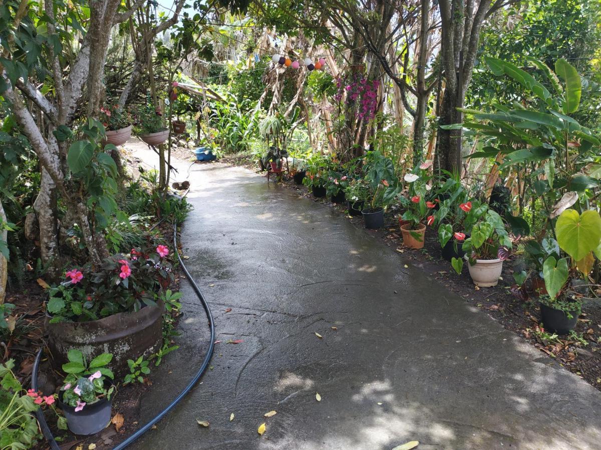 Bed and Breakfast Ker L'Ilet Силао Экстерьер фото